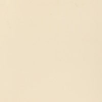 Paint Bizet, пленка ПВХ PMG