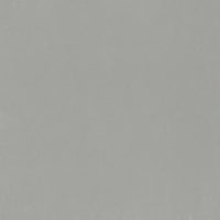 Paint Silver, пленка ПВХ PMG 21