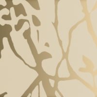 Золотой лес глянец, плёнка ПВХ, HTY47W982P